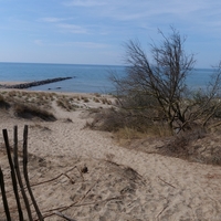 Photo de France - La randonnée de la Tamarissière